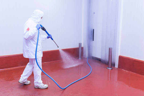 Best Building Exterior Washing  in Augusta, KY