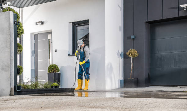 Best Sidewalk and Walkway Cleaning  in Augusta, KY